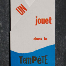 Un jouet dans la tempête