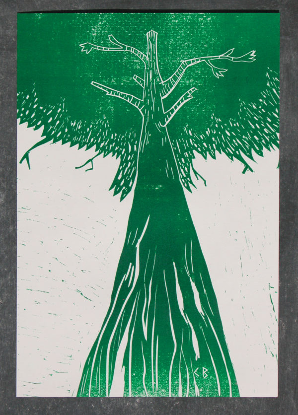 affiche gravure arbre