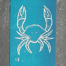 cancer signe astrologique zodiaque recto