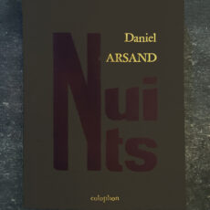 Couverture de l'édition Nuits de Daniel Arsand