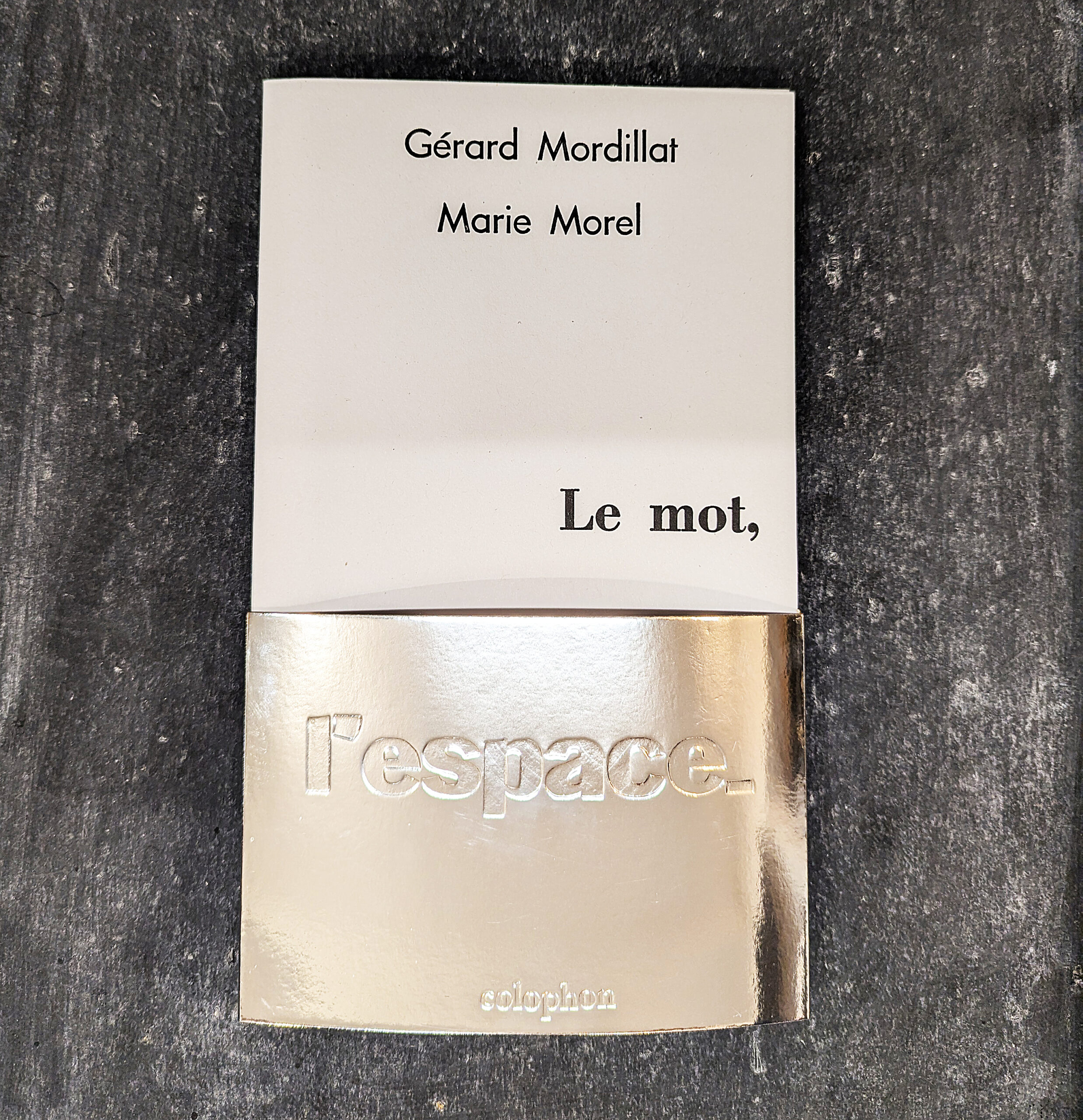 Couverture Le mot , l'Espace de Gérard Mordillat